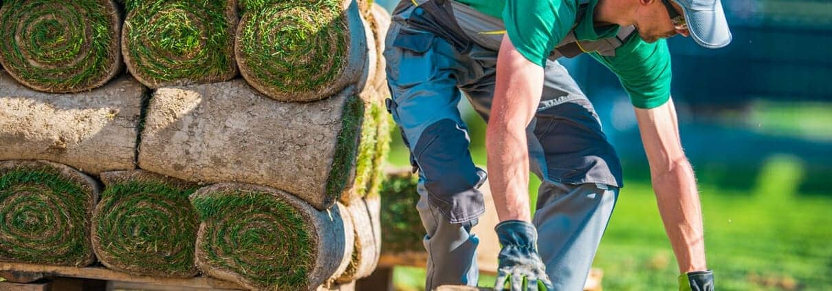 Professional Lawn Care