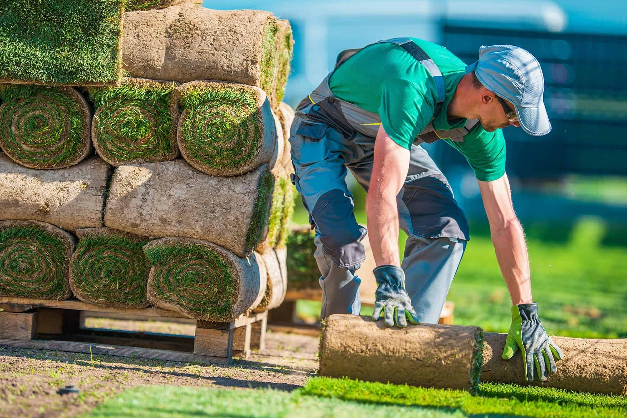 5 Benefits of Professional Lawn Care & Groundskeeping