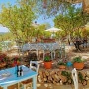 A picturesque outdoor seating area at a restaurant fitted with landscaping such as shade, furniture, plants and more to help impact a business.