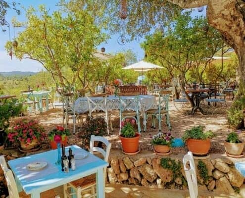 A picturesque outdoor seating area at a restaurant fitted with landscaping such as shade, furniture, plants and more to help impact a business.